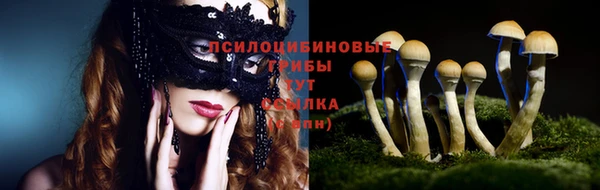 меф Алексин