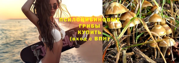 меф Алексин